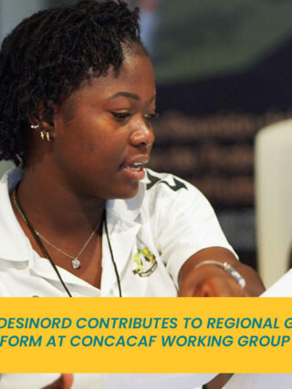Desinord leads a discussion as part of a collaborative group tasked with analyzing and rewriting grassroots development criteria.