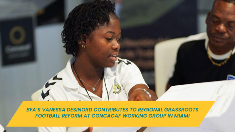 Desinord leads a discussion as part of a collaborative group tasked with analyzing and rewriting grassroots development criteria.